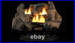 24 Golden Oak Vent Free Gas Log Set withVD1824 Manual Burner LP