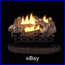 24 Inch Gas Log Set With Vent Free LP Burner Dual Burners Lava Rocks Winter US