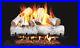 24_Real_Fyre_White_Birch_Gas_Logs_G45_Triple_T_Burner_System_NG_or_LP_Peterson_01_xt
