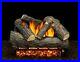 24_Wakefield_Oak_Logs_with_Single_Burner_and_Variable_Flame_Remote_Ready_LP_01_tl