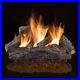 24_in_Charred_River_Oak_Vented_Natural_Gas_Log_Set_Fireplace_Logs_Burner_Dual_01_xg