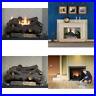 24_in_Large_Natural_Gas_Propane_Fireplace_Logs_Remote_Control_Vent_Free_Fire_Log_01_swf
