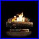 24_in_Vent_Free_Natural_Gas_Fireplace_Logs_Log_Set_DIY_Insert_Heat_Kit_Burner_01_cix