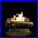24_in_Vent_Free_Natural_Gas_Fireplace_Logs_Thermostat_Control_Heating_Insert_01_arpi