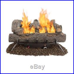 24 in. Vent Free Natural Gas Propane Fireplace Log Set Insert Remote Heater Kit