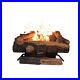 24_in_Vent_Free_Propane_Gas_Fireplace_Logs_Insert_Adjustable_Flame_Height_Fire_01_nq