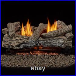 24 in. Vent Free Propane Gas Log Set with Remote