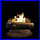 24_in_Ventless_Propane_Gas_Fireplace_Log_Set_Control_Logs_Insert_Best_Unvented_01_ea