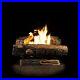 24_inches_Vent_Free_Natural_Gas_Fireplace_Logs_Oakwood_Dual_U_shaped_Burner_New_01_iw