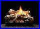 24in_Gas_ceramic_log_fire_place_insert_great_for_backyard_fire_feature_too_01_at