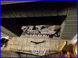 24in Gas ceramic log fire place insert great for backyard fire feature too