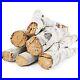26_8_Large_Gas_Fireplace_Logs_Ceramic_White_Birch_Wood_Logs_for_26_8_6pcs_01_bccy