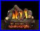 30_Cheyanne_Glow_Logs_with_Single_Burner_and_Variable_Flame_Remote_Ready_LP_01_zeg