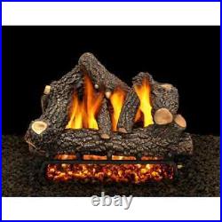 AMERICAN GAS LOG Vented Gas Fireplace Log Set 18 Concrete withManual Match Lit