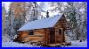 A_Beautiful_First_Snowfall_At_The_Log_Cabin_In_The_Woods_Moose_By_The_Cabin_01_nzud