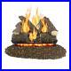 Arlington_Ash_24_in_Vented_Gas_Log_Set_by_Pleasant_Hearth_01_jed