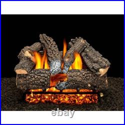 Aspen Whisper 24 In. Vented Natural Gas Fireplace Logs, Complete Set with Pilot