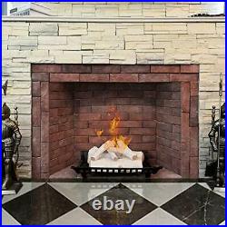 Birch Ceramic Wood Gas Fireplace Logs Sets for Gas Inserts, Ventless 5 Pieces