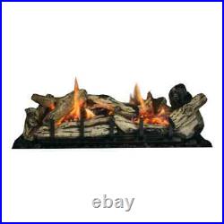 Breckwell 30-Inch Gas Direct Vent Fireplace With Blower & Remote BH3024FP