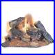 Burnt_River_Oak_18_in_Vented_Dual_Burner_Natural_Gas_Fireplace_Logs_Log_Set_01_zg
