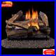 DLS_18R_1_Dual_Fuel_Ventless_Fireplace_Logs_Set_with_Remote_Control_Use_Natural_01_gdgt