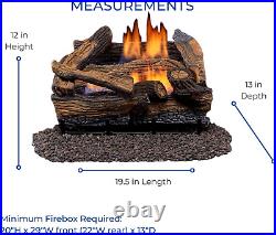 DLS-18R-1 Dual Fuel Ventless Fireplace Logs Set with Remote Control Use Natural