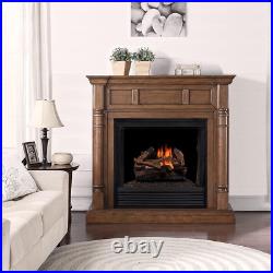 DLS-18R-1 Dual Fuel Ventless Fireplace Logs Set with Remote Control Use Natural