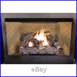Dual Fuel Fireplace Logs Insert 24 in. Vent Free Natural Gas Propane Thermostat