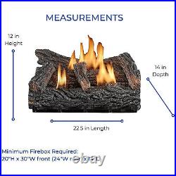 Duluth Forge 22 32,000 BTU Natural Gas Fireplace Log Set, Winter Oak (Used)