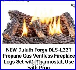 Duluth Forge 22 In. Ventless 32,000 BTU Propane Gas Fireplace Log Set & Andiron