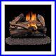 Duluth_Forge_DLS_18R_1_Dual_Fuel_Ventless_Fireplace_Logs_Set_with_Remote_Cont_01_hhou