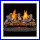 Duluth_Forge_DLS_24R_1_Dual_Fuel_Ventless_Fireplace_Logs_Set_with_Remote_Cont_01_lwz