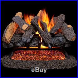 Duluth Forge Vented Natural Gas Fireplace Log Set 24 in, 55,000 BTU, Heartlan
