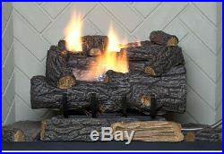 EMBERGLOW Propane Gas Fireplace 18 in Log Set Vent Free Remote Control Heater