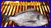 Ep_13_30_Grilled_Dorado_Fish_Over_The_Fire_Grilled_Sea_Bream_Recipe_01_unqm
