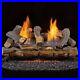 Fake_Fireplace_Log_Set_24_in_Ventless_Dual_Fuel_Thermostat_Control_Burner_01_pr