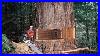 Fastest_Big_Chainsaw_Cutting_Tree_Machines_Skills_Incredible_Homemade_Wood_Cutting_Machines_01_agi