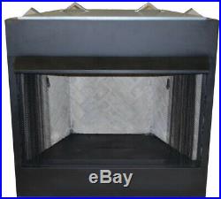 Fireplace Insert 42 in. Firebox Vent-Free Dual Fuel Natural Gas Liquid Propane
