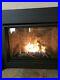 Fireplace_Insert_With_Logs_Blower_Remote_Thermostat_Control_1000_Off_List_Pric_01_mag