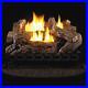 Fireplace_Log_Set_Vent_Free_Propane_Gas_Millivolt_Control_Oxygen_Depletion_Senso_01_ufj