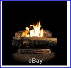 Fireplace Log Vent Free Natural Gas with Thermostatic Control Oakwood Home 24 in