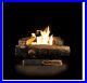 Fireplace_Log_Vent_Free_Natural_Gas_with_Thermostatic_Control_Oakwood_Home_24_in_01_knk