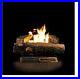 Fireplace_Logs_Vent_Free_Natural_Gas_Oakwood_Rustic_Transitional_Rocks_Log_Grate_01_yy