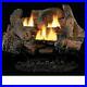 Fireside_America_Tupelo_2_Vent_Free_24_Gas_Logs_with_Millivolt_Control_NG_01_ql