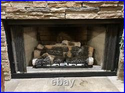 Gas Logs with Remote Control