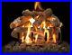 Grand_Canyon_Arizona_Weathered_Oak_Burners_2_and_3_Vented_Gas_Logs_Only_01_xyay