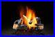 Hargrove_24_Inferno_Vented_Gas_Log_Set_With_Manual_Saftey_Pilot_Natural_Gas_01_tx