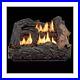 HearthSense_VFL18M_Dual_Fuel_Ventless_Fireplace_Logs_Set_with_Manual_Control_01_xaxb