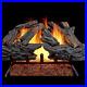 Hearthsense_CSW24HVL_Natural_Gas_Vented_Fireplace_Logs_Set_with_Match_Light_550_01_byj