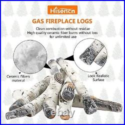 Hisencn Gas Fireplace Logs 6 PCS White Birch Ceramic Gas Logs for Gas Firepla